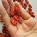 fruit organic New crop Premium quality Factory Wholesale qinghai dried goji berries black chinese wolfberry